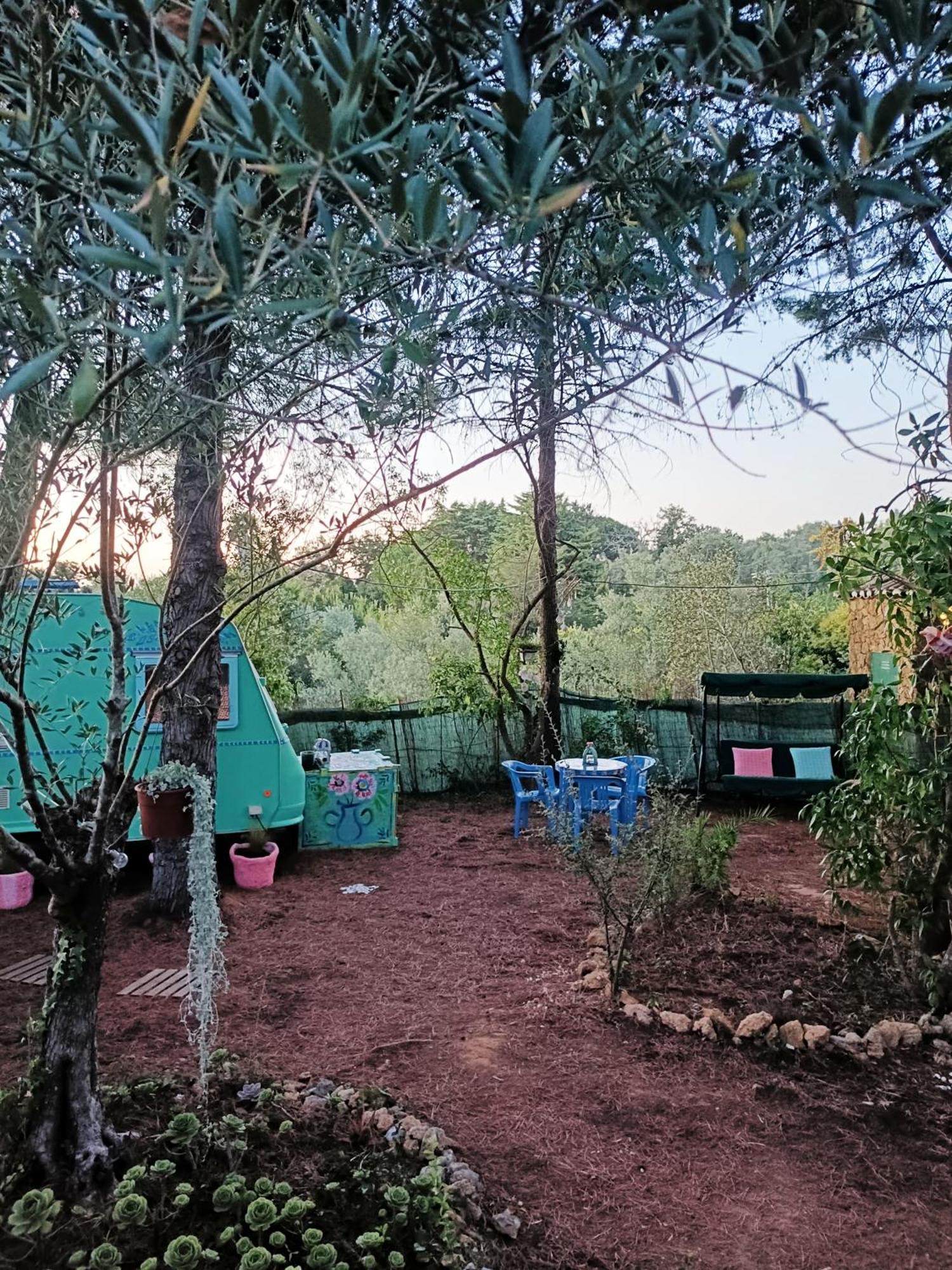 Ir Por Ai Arrabida Hotel Azeitão Eksteriør billede